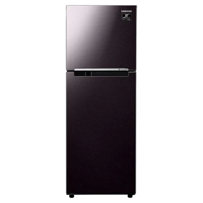 Tủ lạnh Samsung RT22M4032BY/SV